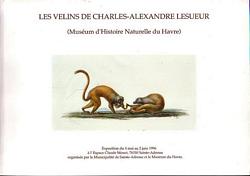 LES VELINS DE CHARLES-ALEXANDRE LESUEUR (Muséum d'Histoire Naturelle du Havre)