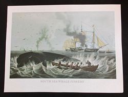 SOUTH SEA WHALE FISHERY  (colour print)